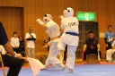 ��O��É�����蓹�I�茠���@B�R�[�g shizuoka KARATE championship