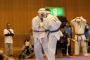 ��O��É�����蓹�I�茠���@B�R�[�g shizuoka KARATE championship