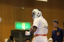 ��O��É�����蓹�I�茠���@B�R�[�g shizuoka KARATE championship