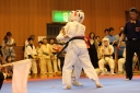 ��O��É�����蓹�I�茠���@B�R�[�g shizuoka KARATE championship
