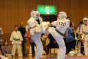 ��O��É�����蓹�I�茠���@B�R�[�g shizuoka KARATE championship
