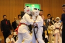 ��O��É�����蓹�I�茠���@B�R�[�g shizuoka KARATE championship