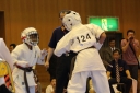 ��O��É�����蓹�I�茠���@B�R�[�g shizuoka KARATE championship
