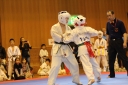 ��O��É�����蓹�I�茠���@B�R�[�g shizuoka KARATE championship