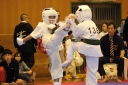 ��O��É�����蓹�I�茠���@B�R�[�g shizuoka KARATE championship