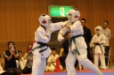 ��O��É�����蓹�I�茠���@B�R�[�g shizuoka KARATE championship