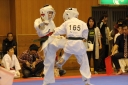 ��O��É�����蓹�I�茠���@B�R�[�g shizuoka KARATE championship