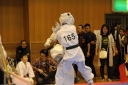 ��O��É�����蓹�I�茠���@B�R�[�g shizuoka KARATE championship