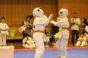 ��O��É�����蓹�I�茠���@B�R�[�g shizuoka KARATE championship