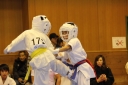��O��É�����蓹�I�茠���@B�R�[�g shizuoka KARATE championship