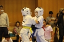 ��O��É�����蓹�I�茠���@B�R�[�g shizuoka KARATE championship