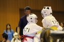 ��O��É�����蓹�I�茠���@B�R�[�g shizuoka KARATE championship