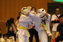 ��O��É�����蓹�I�茠���@B�R�[�g shizuoka KARATE championship