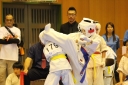 ��O��É�����蓹�I�茠���@B�R�[�g shizuoka KARATE championship
