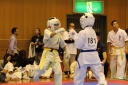 ��O��É�����蓹�I�茠���@B�R�[�g shizuoka KARATE championship