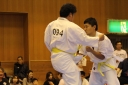 ��O��É�����蓹�I�茠���@B�R�[�g shizuoka KARATE championship
