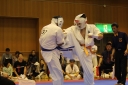 ��O��É�����蓹�I�茠���@B�R�[�g shizuoka KARATE championship