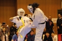 ��O��É�����蓹�I�茠���@B�R�[�g shizuoka KARATE championship