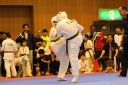 ��O��É�����蓹�I�茠���@B�R�[�g shizuoka KARATE championship