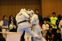 ��O��É�����蓹�I�茠���@B�R�[�g shizuoka KARATE championship