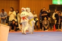 ��O��É�����蓹�I�茠���@B�R�[�g shizuoka KARATE championship