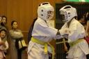 ��O��É�����蓹�I�茠���@B�R�[�g shizuoka KARATE championship