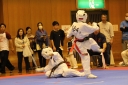 ��O��É�����蓹�I�茠���@B�R�[�g shizuoka KARATE championship