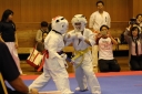 ��O��É�����蓹�I�茠���@B�R�[�g shizuoka KARATE championship