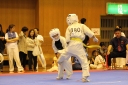 ��O��É�����蓹�I�茠���@B�R�[�g shizuoka KARATE championship