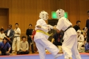 ��O��É�����蓹�I�茠���@B�R�[�g shizuoka KARATE championship