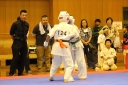 ��O��É�����蓹�I�茠���@B�R�[�g shizuoka KARATE championship