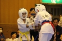 ��O��É�����蓹�I�茠���@B�R�[�g shizuoka KARATE championship