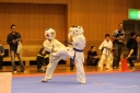 ��O��É�����蓹�I�茠���@B�R�[�g shizuoka KARATE championship