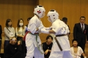 ��O��É�����蓹�I�茠���@B�R�[�g shizuoka KARATE championship