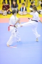 shizuoka KARATE championship 