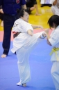 shizuoka KARATE championship 
