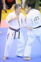 shizuoka KARATE championship 