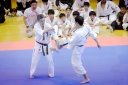 shizuoka KARATE championship 