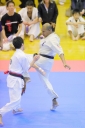 shizuoka KARATE championship 