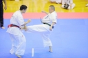shizuoka KARATE championship 