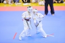 shizuoka KARATE championship 