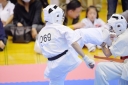shizuoka KARATE championship 