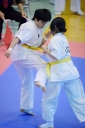 shizuoka KARATE championship 