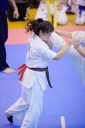 shizuoka KARATE championship 