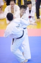 shizuoka KARATE championship 