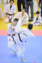 shizuoka KARATE championship 