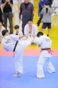shizuoka KARATE championship 
