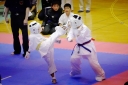 shizuoka KARATE championship 