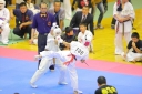 shizuoka KARATE championship 