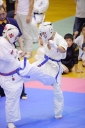 shizuoka KARATE championship 